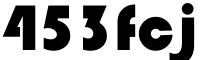 453fcj bags